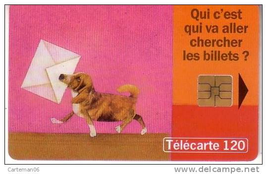 Télécarte - 120 U - SNCF Service Billet A Domicile (chien) - 1998