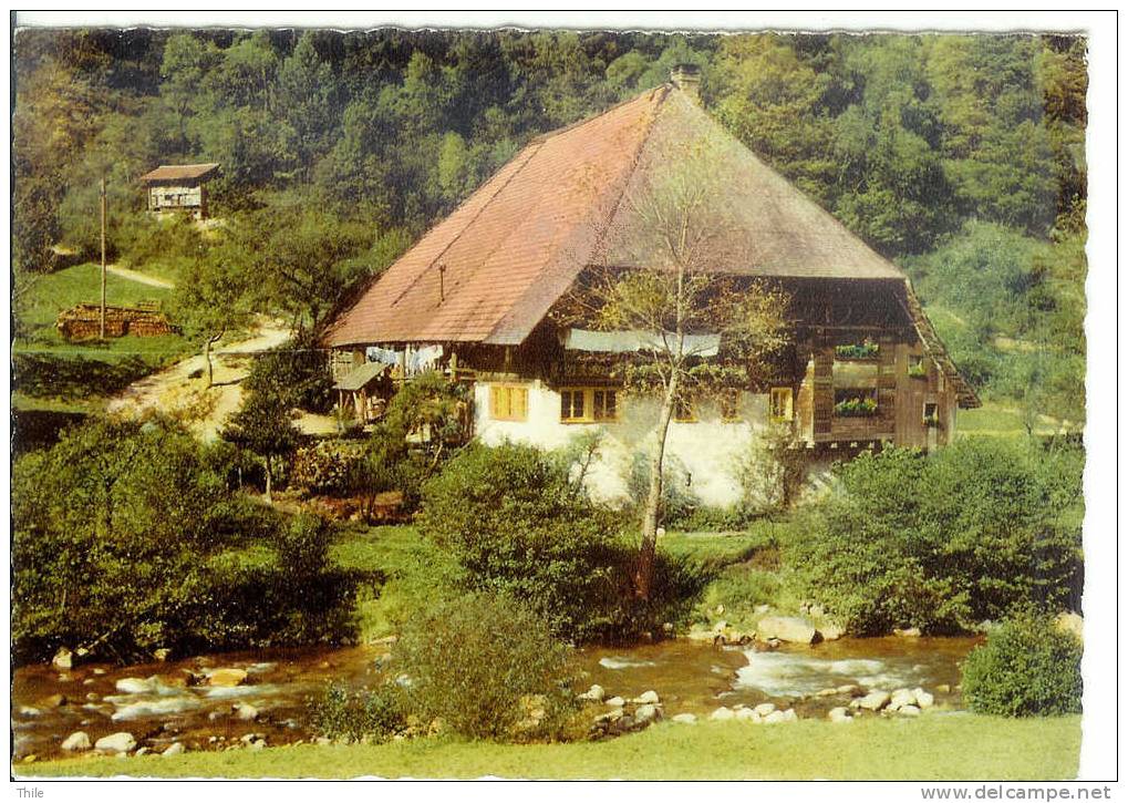 Altes Schwarzwaldhaus - Hochschwarzwald