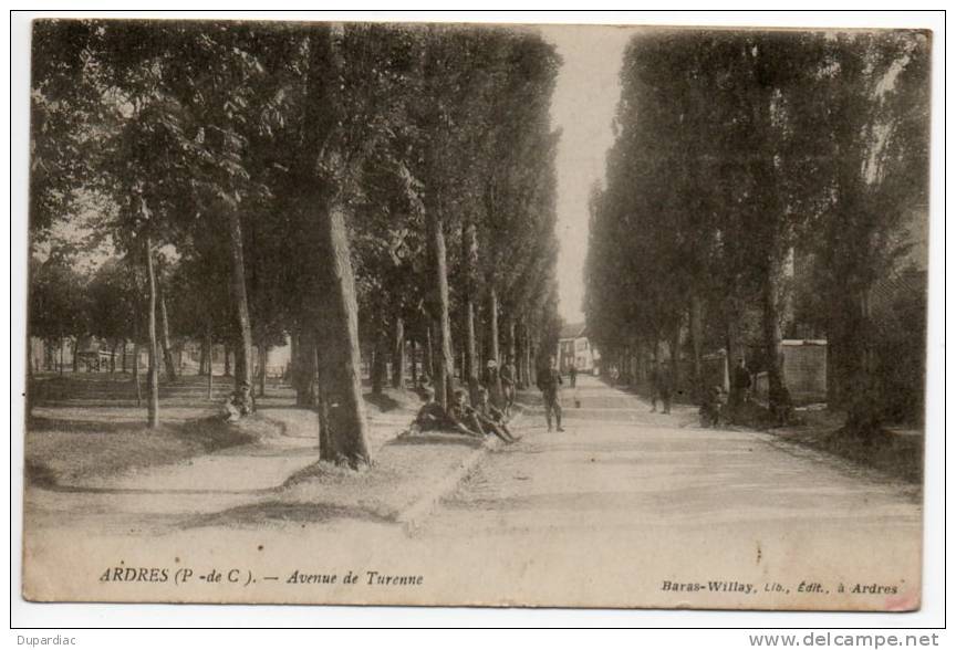 62 - Pas De Calais /  ARDRES -- Avenue De Turenne - Ardres