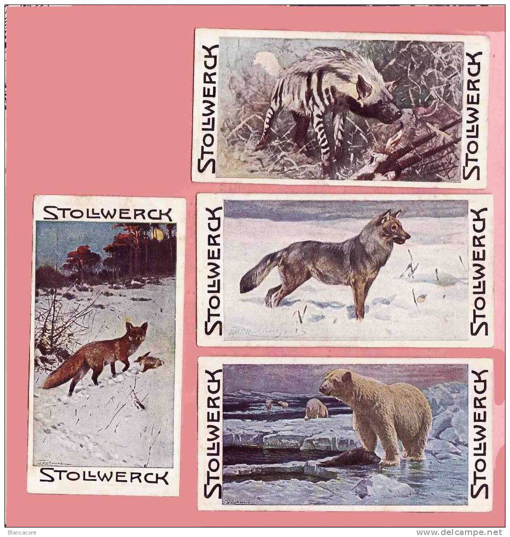 Stollwerck  4 Chromos Chocolat - Stollwerck