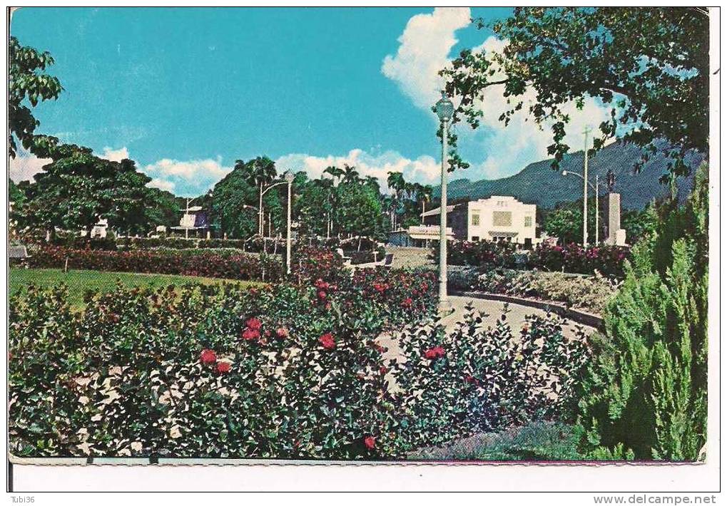 HAITI - PORT AU PRINCE - CHAMPS  DE MARS -  A NICE  PLACE ALWAYS  IN BLOSSOM - COLORI N/V - Haïti