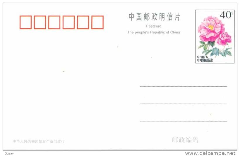 Mountain Cycling Bicycle Bike    Outdoor   , Prepaid Card , Postal Stationery - BTT