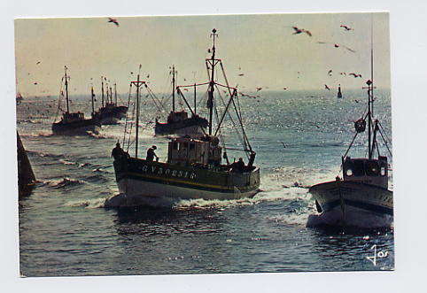 LA BRETAGNE EN COULEURS   Retour Des Bateaux De Pêche   ---  R10486 - Bretagne