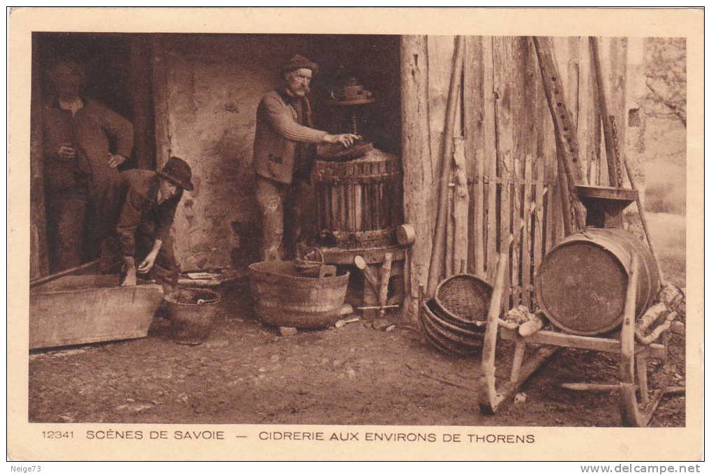 Jolie Cpa Du 74 - Scènes De Savoie - Cidrerie Aux Environs De Thorens - Thorens-Glières