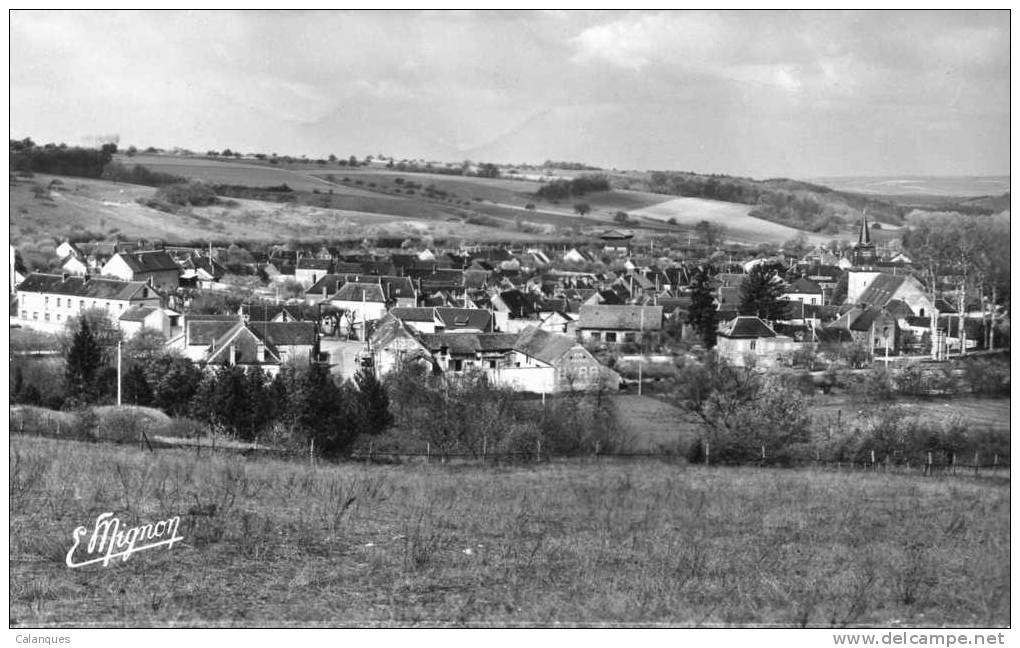 CPSM Cerisiers - Vue Générale - Cerisiers