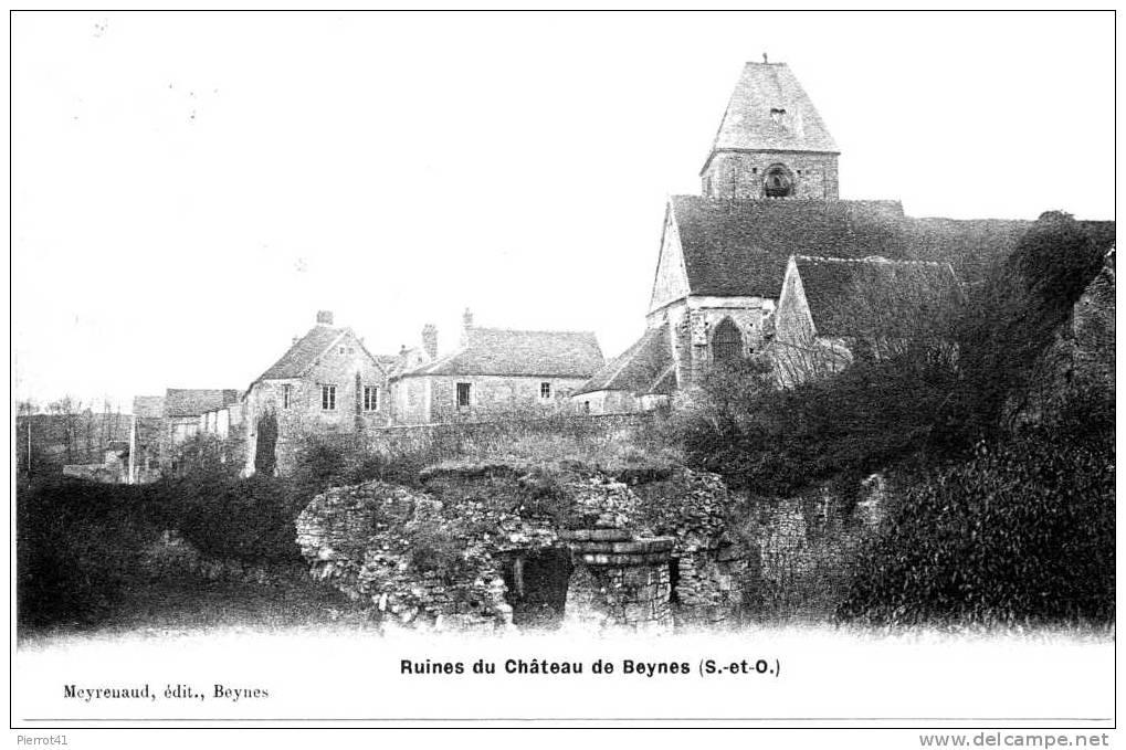 Ruines Du Château - Beynes