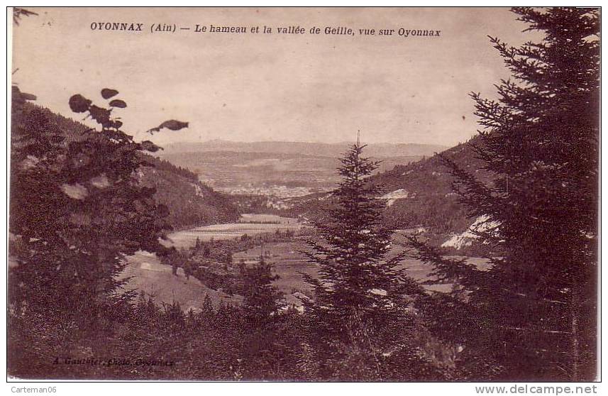 01 - Oyonnax - Le Hameau Et La Vallé De Geille, Vue Sur Oyonnax - Oyonnax