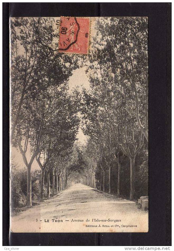 84 LE THOR (envs Isle Sorgue) Avenue De L'Isle Sur Sorgue, Ed Brun 3, 1906 - Autres & Non Classés