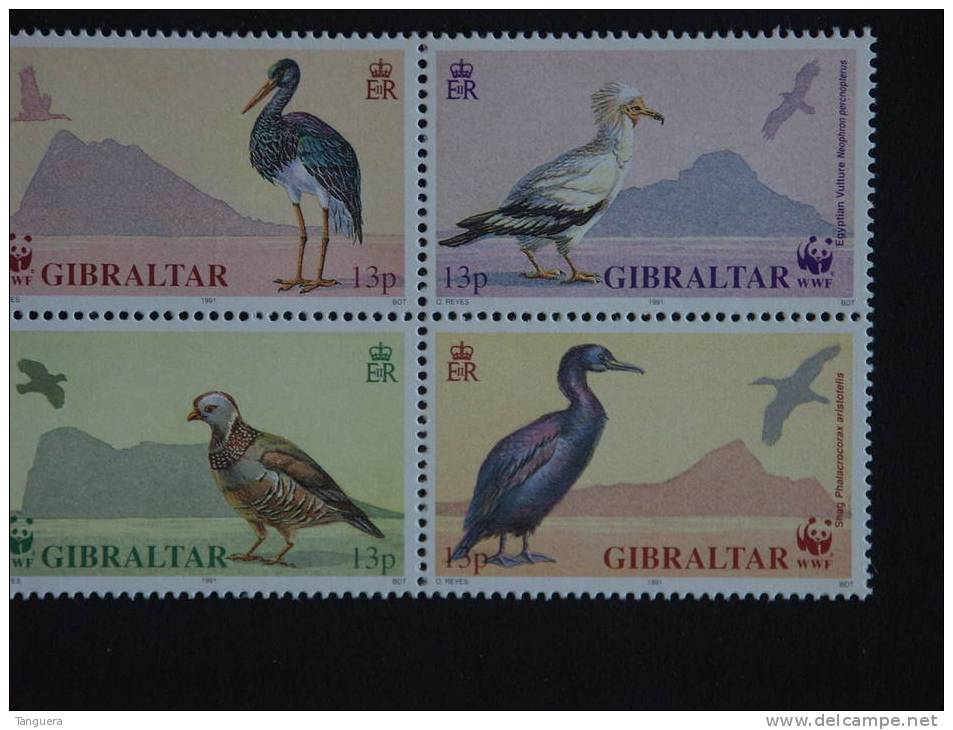 Gibraltar 1991 Oiseaux Migrateurs Trekvogels Yv 629-632 MNH ** - Gibraltar