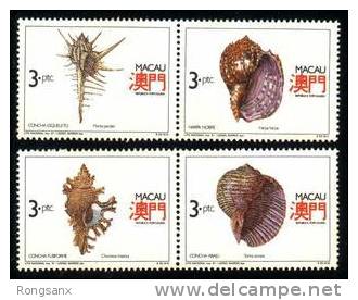 1991 MACAO S44 SHELLS 4V - Unused Stamps