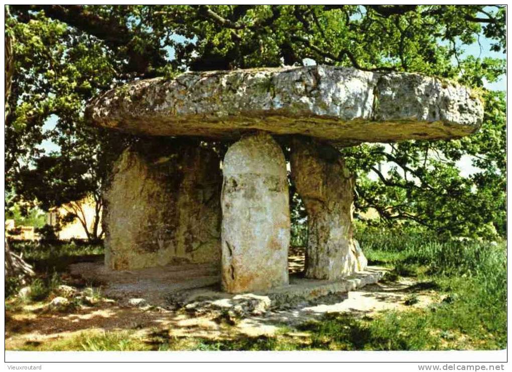 CPSM. DRAGUIGNAN. LE DOLMEN "PIERRE DE LA FEE". - Draguignan