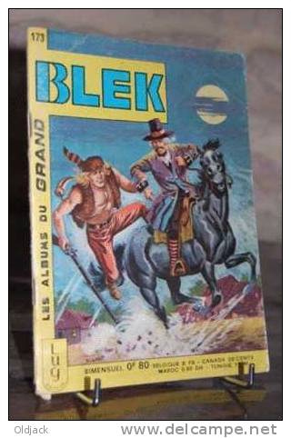 BLEK N°173 - Blek