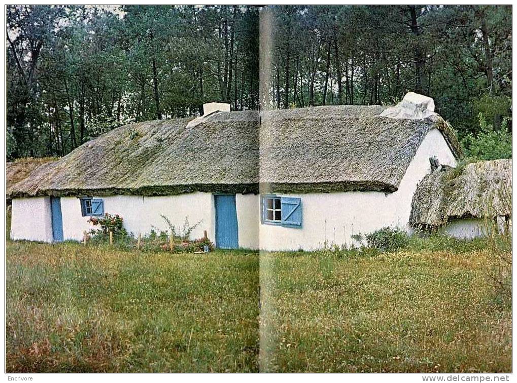 BT 754 Nov 1972 LA BOURRINE Maison Du MARAIS BRETON En Vendée -SAINT HILAIRE DE RIEZ - Les CHAMPIGNONS Polypore Couche - Pays De Loire