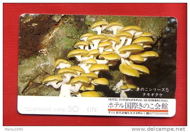 Japan Japon Telefonkarte Télécarte Phonecard Pilz  Pilze Mushroom Fungo Seta - Autres & Non Classés