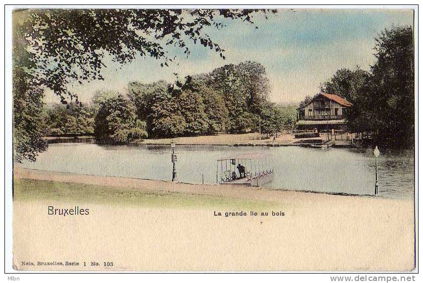 CPA Précurseur   Bruxelles   La Grande Ile Au Bois.  TBon Etat - Bossen, Parken, Tuinen