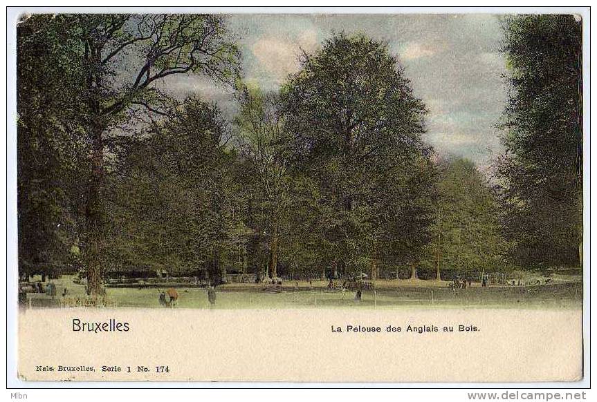 CPA Précurseur  Bruxelles  La Pelouse Des Anglais Au Bois.  Bon Etat - Parks, Gärten