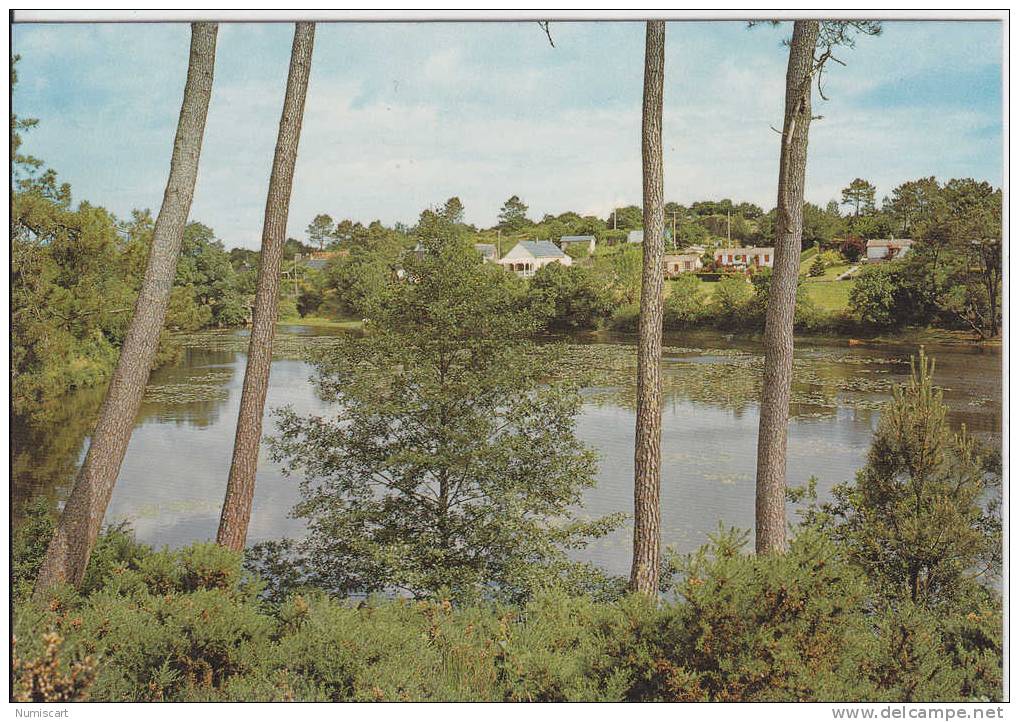 Moisdon-la-rivière...étang... - Moisdon La Riviere
