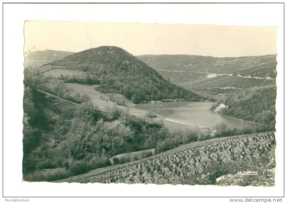 OYONNAX  (01) - CPSM - Environs D'Oyonnax, Les Gorges De L'Ain - Oyonnax