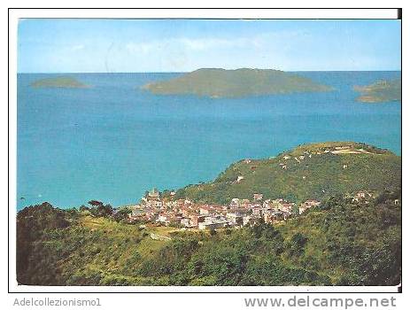 32371)cartolina Illustratoria S. Terenzo - Panorama E Isola Del Tino - Acireale