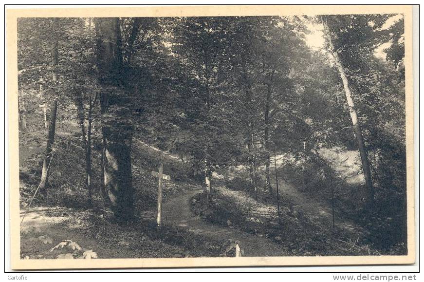 BEAURAING- DOMAINE MARIAL- LES LACETS DU CHEMIN DE CROIX - Beauraing