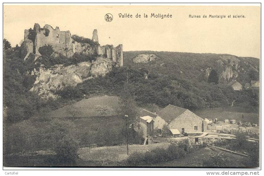 MONTAIGIE- RUINES DE MONTAIGLE ET SCIERIE - Onhaye