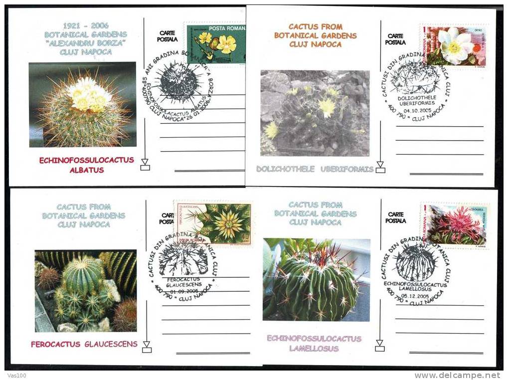 Cactusses,cactus From Botanical Gardens Of Clij-Napoca 4x Postcard,obliteration Concordante - Romania. - Cactus