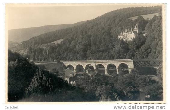 REMOUCHAMPS-CARTE PHOTO-CHATEAU DE MONTJARDIN  ET LE VIADUC DU CHEMIN DE FER - Aywaille