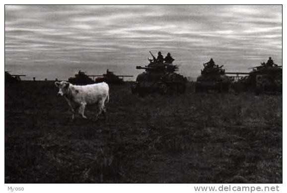 Pedro Luis RAOTA , Vache Au Champ, Tanks,militaires - Doisneau