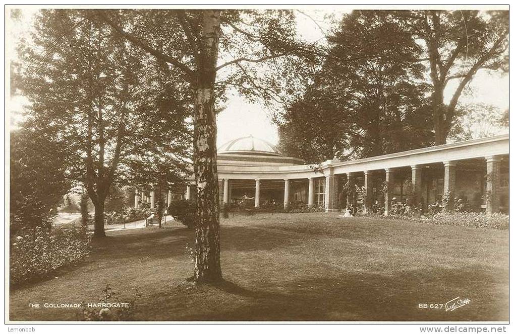 Britain United Kingdom - The Colonnade, Collonade, Harrogate Real Photo Postcard [P73] - Harrogate