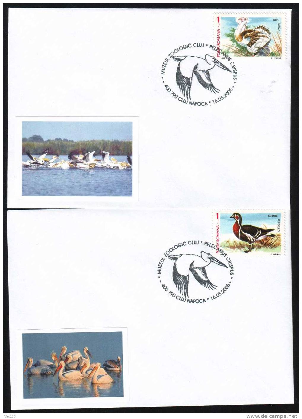 BIRDS,PELICANS 2005 Obliteration Concordante 2 Covers- Romania. - Pelikane