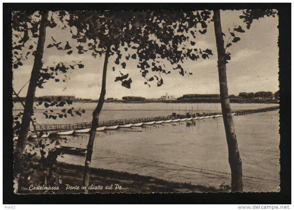 1713-CASTELMASSA(ROVIGO)-PONTE IN CHIATTE SUL PO-1956-FG - Rovigo