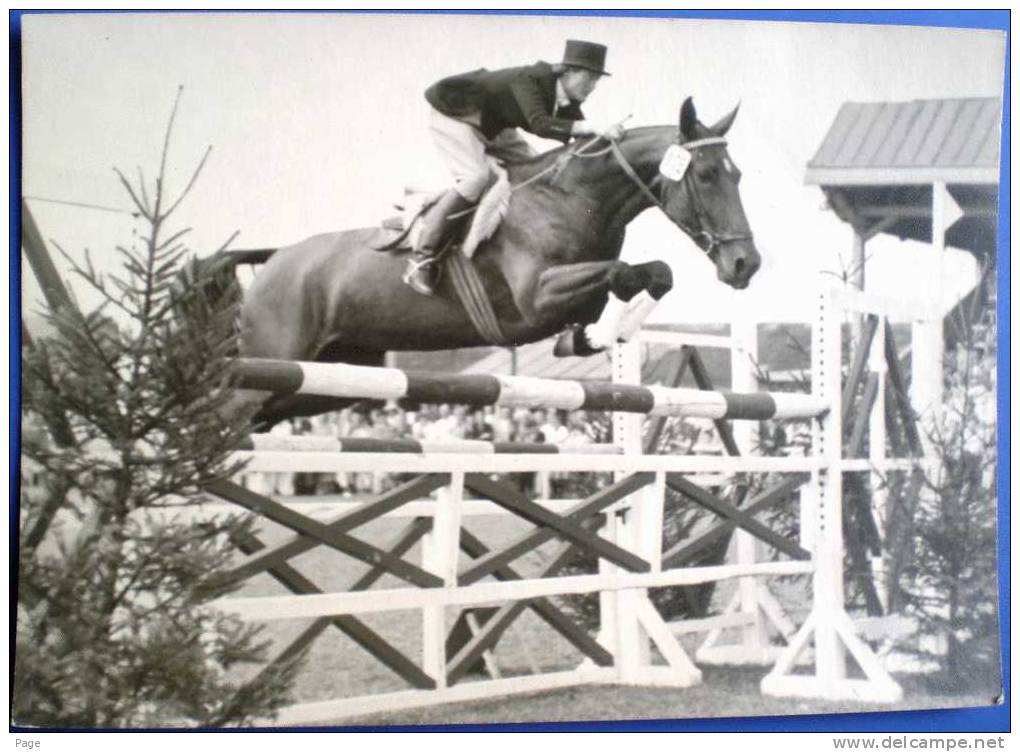 Pferd Mit Reiter Im Sprung,1950,Fotokarte,Reitturnier,Springturnier, - Hípica