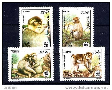 ALGERIE 1988, WWF, SINGES MAGOT, 4 Valeurs, NEUFS. R065 - Singes