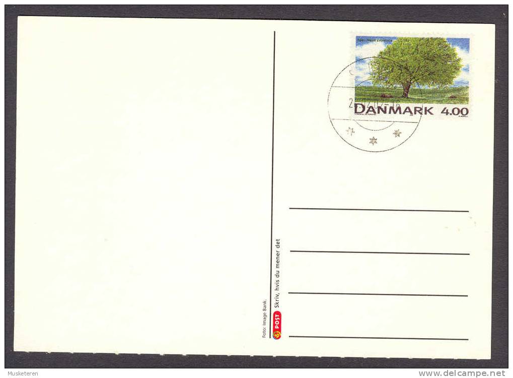 Denmark Postal Stationery Ganzsache Entier 2002 Deluxe Cancel SØBORG Einheimische Bäume Native Trees Buche - Ganzsachen