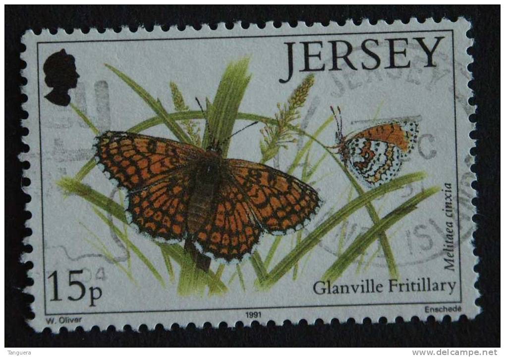 Jersey 1991 Papillon Yv 543 O - Papillons