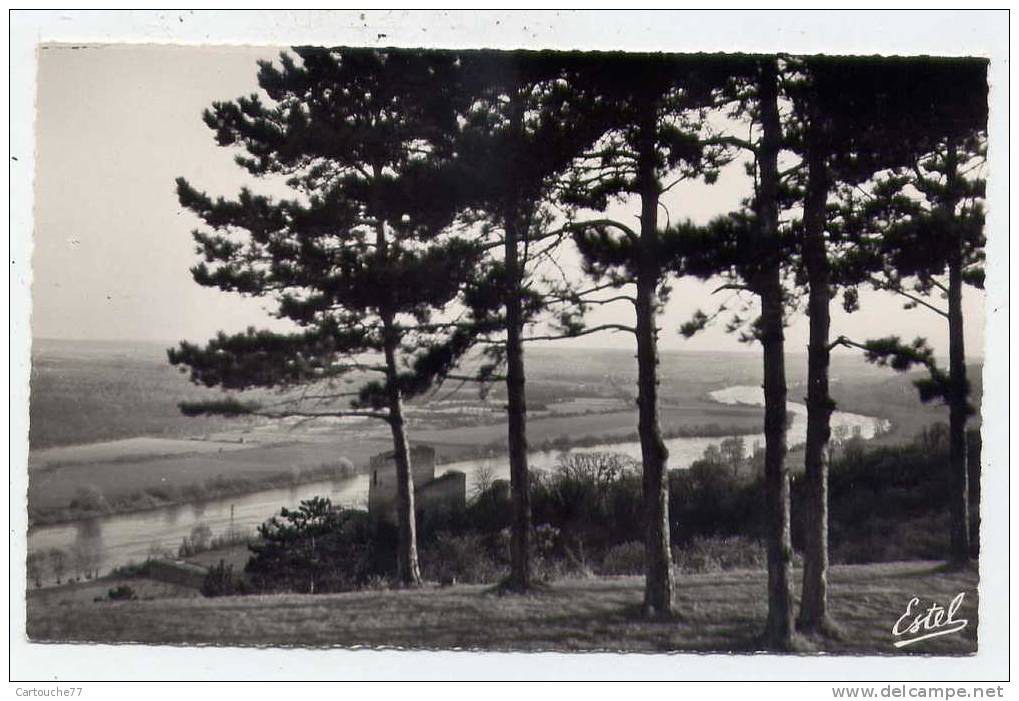 P10 - LA ROCHE-GUYON - Vallée De La Seine - Le Vieux Donjon  (1959) - La Roche Guyon