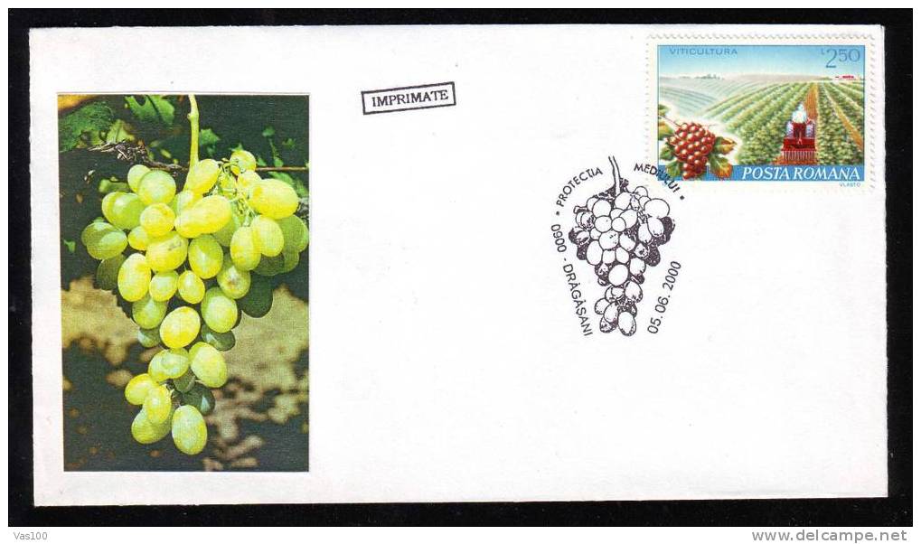 Wine Winery Vin Vine Grapes Wein ,stamp Postmark  On Cover 2000 - Wijn & Sterke Drank