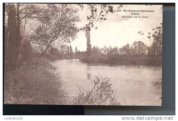 CPA 18- SAINT-AMAND-MONTROND-Joli Coin Sur Le Cher-  -OCT 503 - Saint-Amand-Montrond