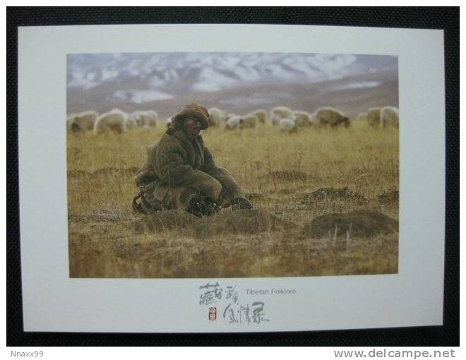 China - Tibet - Herdsman And Sheep - Tibet