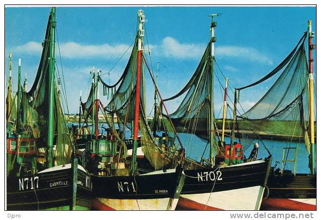 Visserboten N717  N 71  N702 Pecheurs . Fish Boats - Fishing Boats