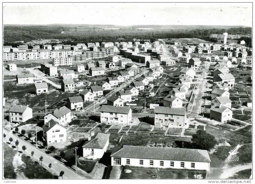 CPSM En Avion Au Dessus De CREUTSWALD La CROIX Le Breckelberg - Creutzwald