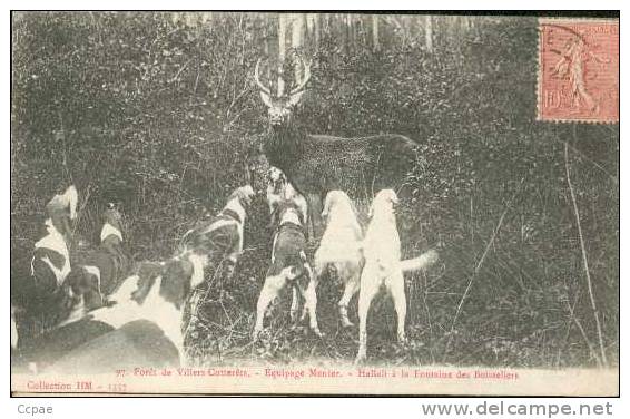 Foret Equipage Menier Hallali à La Fontaine Des Boisseliers - Villers Cotterets