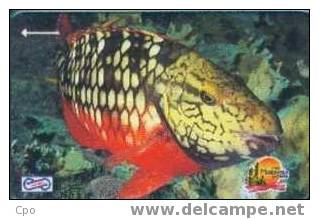 # MALAYSIA UP12 Malaysian Fishes - Orange Fish 20 Gpt -fishes,poissons-  Tres Bon Etat - Malaysia