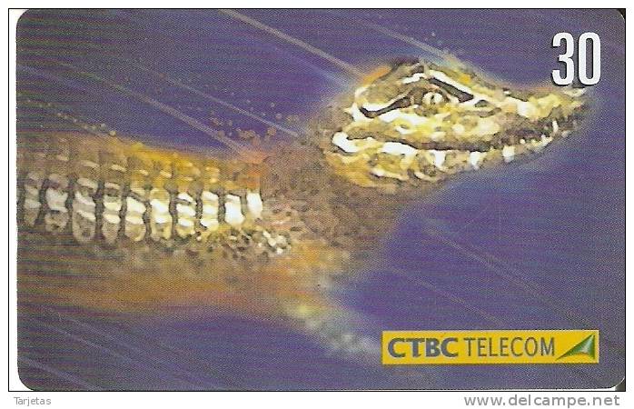 TARJETA DE BRASIL DE UN COCODRILO (CROCODILE) - Krokodillen En Alligators