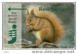 # JERSEY JER63 Red Squirrel 2 Gpt 10.94 20000ex -animal,ecureuil,squirrel - Tres Bon Etat - [ 7] Jersey And Guernsey