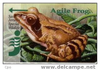 # JERSEY JER62 Agile Frog 5 Gpt 03.94 20000ex -animal,frog,grenouille- Tres Bon Etat - Jersey En Guernsey