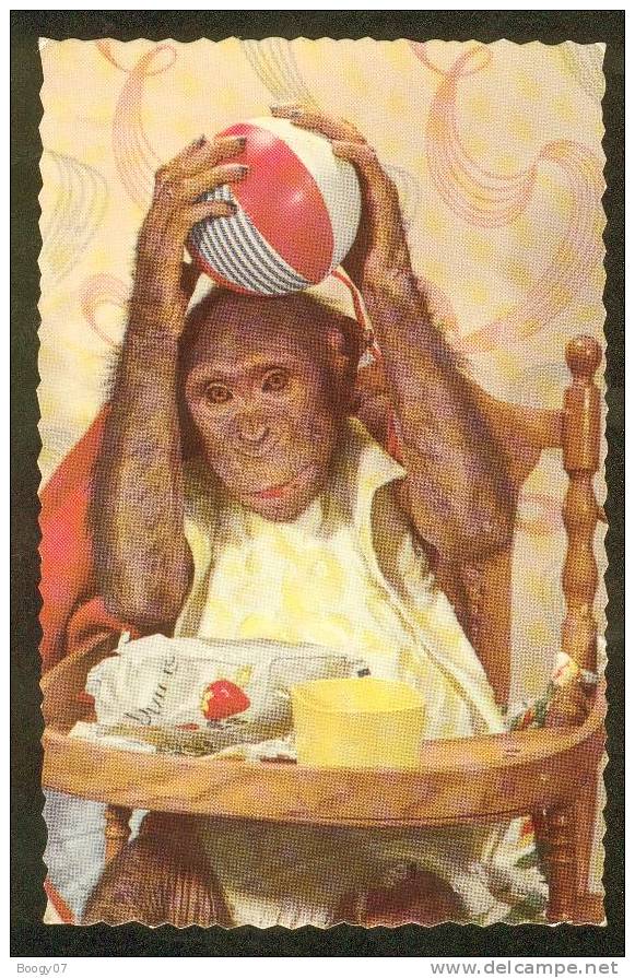 Carte Postale Moderne Singe Jouant Au Ballon - Monos