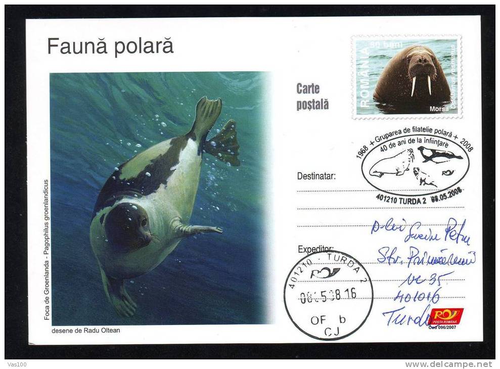Phoque Du Groenland, Morse. Entier 2007 – Harp Seal, Walrus: Stationery PC,obliteration Concordante Polar Year 2007. - Dolphins