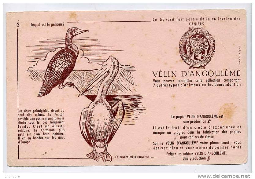 Buvard Cahiers VELIN D ANGOULEME N°2 Lequel Est Le PELICAN Cormoran - - Papeterie