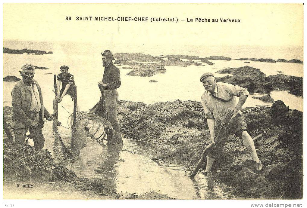 ST MICHEL CHEF CHEF - La Pèche Aux Verveux - Saint-Michel-Chef-Chef